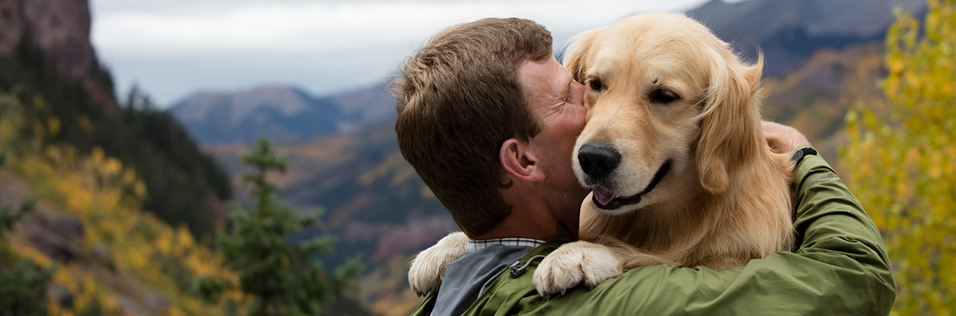 Improving Work Life Balance Through Dogs | Zuke's