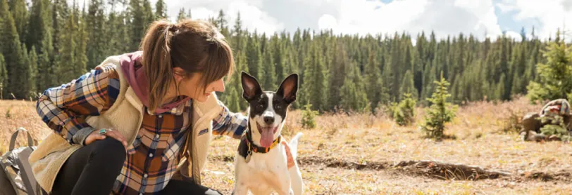 A woman petting a dog in a field