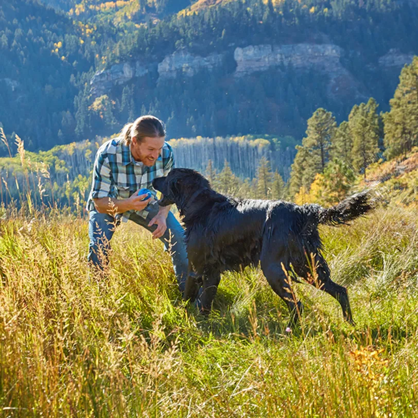 Dog bringing ball back to man in a field