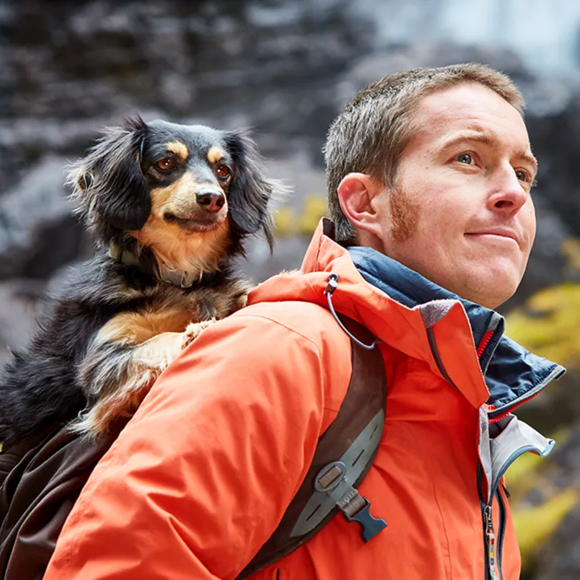 Man with small dog on his back on a hike