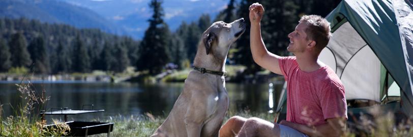 A dog sitting next to a man in a field