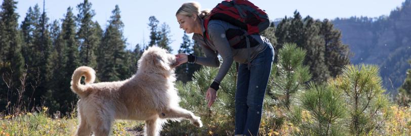 Image of a dog jumping on a woman outside the front door