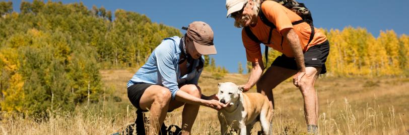 yellow dog on hiking trail with two humans