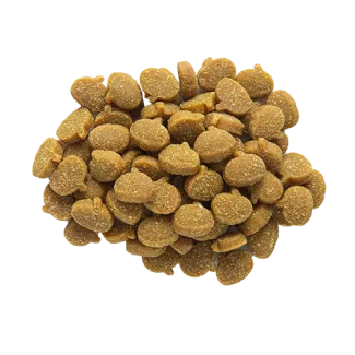 Zuke’s Mini Naturals Pumpkins Turkey &amp; Pumpkin Recipe Dog Treats