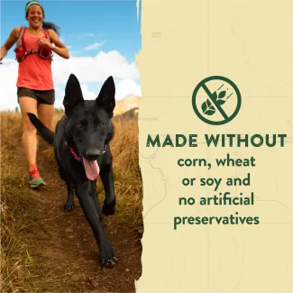 Zuke&#039;s Adventure Sticks are made without corn, wheat or soy and no artificial preservatives.