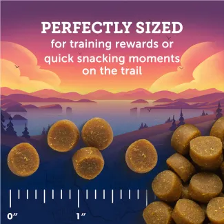 Zukes Mini Naturals dog treats shown under 1 inch on ruler, perfectly sized for training rewards or snacking on the trail.