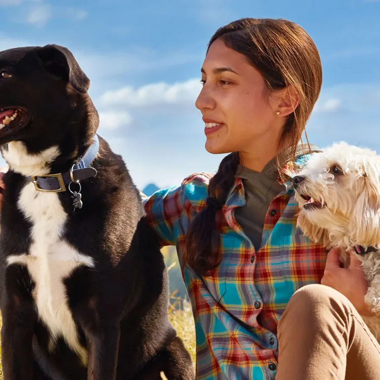 Woman sitting with two dogs at a campsite 